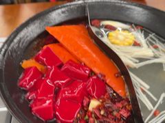 -阳阳老火锅(小南门店)