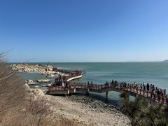 -养马岛旅游度假区