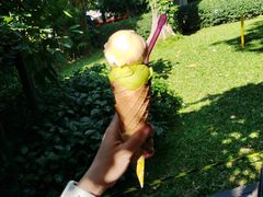 -莓园冰淇淋店