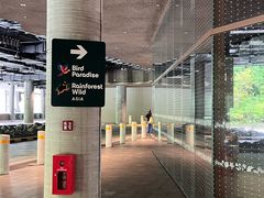 -新加坡飞禽公园