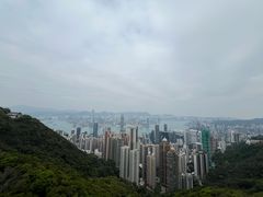 -太平山餐厅(山顶道店)
