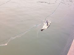 -上海滴水湖皇冠假日酒店