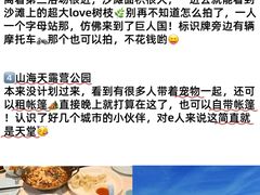 -日照海滨国家森林公园