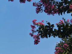 -四川大学(华西校区)