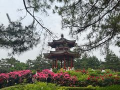 -大慈恩寺(大雁塔)