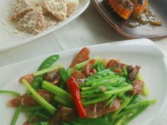 -云中小雅