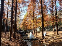 -白水寺森林公园