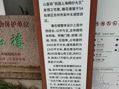 -东山雕花楼