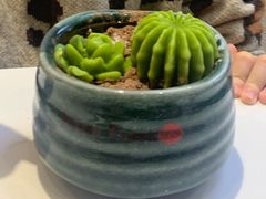 -鲜芋仙(中环百联2店)