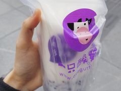 -一只酸奶牛(八一路店)
