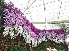 -石家庄市植物园