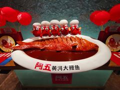 -阿五黄河大鲤鱼(英协路店)