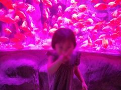 -左海海底世界