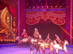 -珠海横琴长隆《卡卡虎奇遇记》