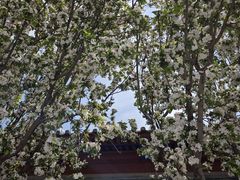 -北京鲁迅博物馆(北京新文化运动纪念馆鲁博馆区)