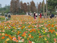 -顺峰山公园