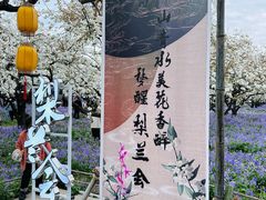 -江苏三台山国家森林公园