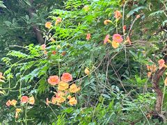 -成都杜甫草堂博物馆