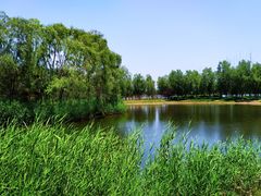 -大兴滨河森林公园