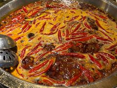 -蜀大侠火锅(建设路第五大道店)