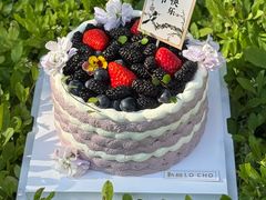 -勒甜LO CHO·私人订制低糖代糖纯动物奶油生日蛋糕(新开路店)