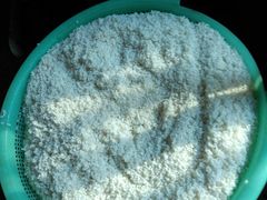 -金太粽(上海弄堂第一粽店)