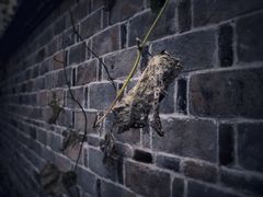 -前童古镇