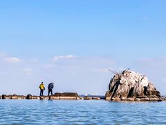 -上海吴淞炮台湾国家湿地公园