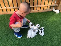 -萌宠亲子动物乐园(槐房万达店)