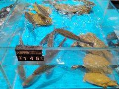 -艳阳天·非遗楚菜(武汉客厅店)