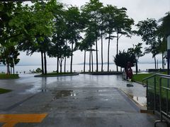 -深圳湾公园(南山区)