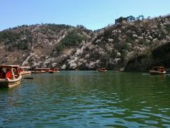 -辛玛王国游乐园