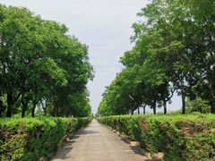 -中国人民抗日战争纪念雕塑园