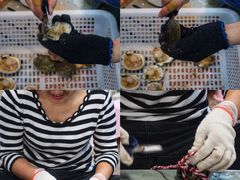 -渔人湾码头海鲜市场负二楼