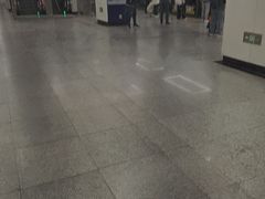 -东方体育中心(地铁站)