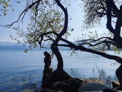 -西昌邛海湿地