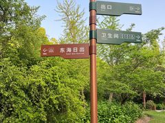 -上海滨江森林公园