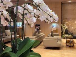 -恒美雅轩·品牌直营连锁