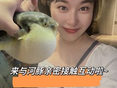 -肆月河豚·淮扬菜·湘菜(华天店)