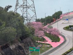 -昂坪360缆车
