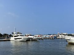 -日照世帆赛基地