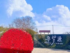 -上海杨姆庄园