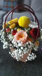 -千禧果月子会所(郑州东站店)