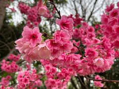 -洛龙公园