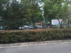 -顾村公园3号门停车场