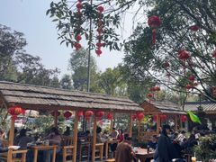 -青城甲(青城山店)