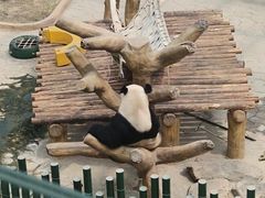 -沈阳森林动物园