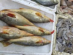 龙宫海鲜楼-龙宫海鲜楼(长乐漳港店)