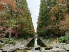 -东平国家森林公园