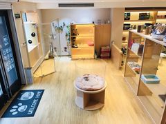 -Pets First伊珊娜洗护·精致美容·家庭式寄养(新会路店)